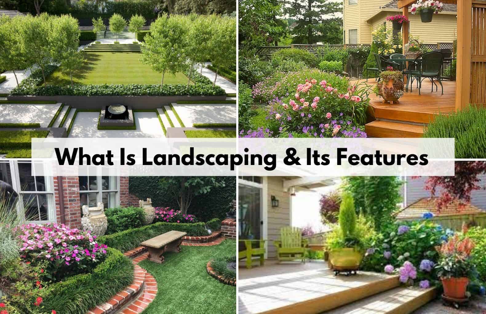 Estimating Your Landscape Design Cost